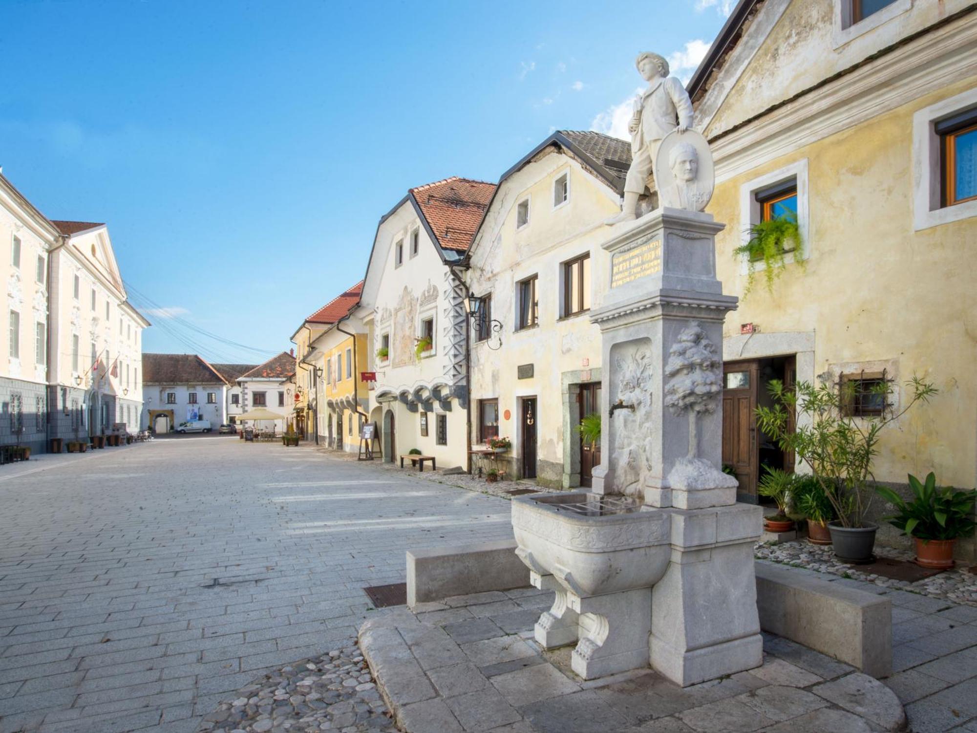 Art House Radovljica Leilighet Eksteriør bilde
